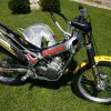 Betas Exoten